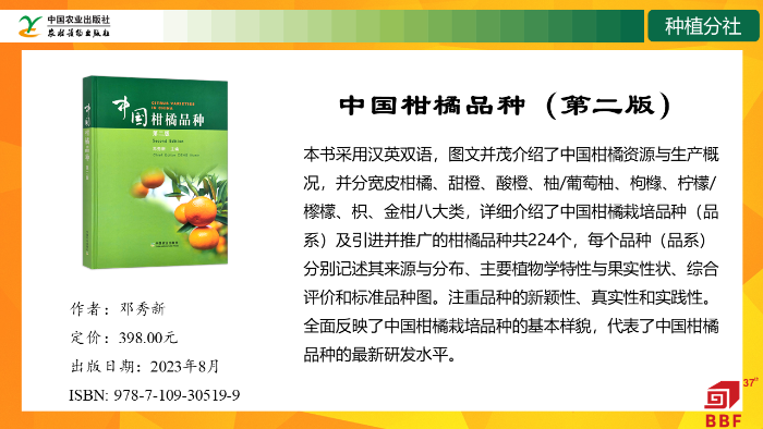 幻灯片9