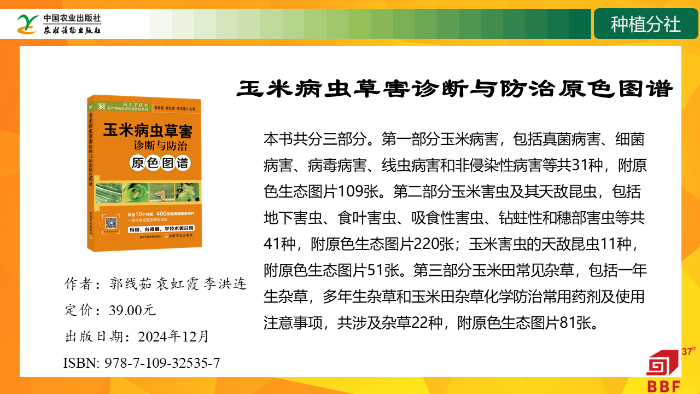 幻灯片21